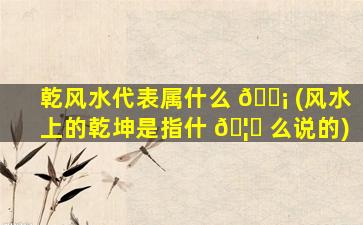 乾风水代表属什么 🐡 (风水上的乾坤是指什 🦉 么说的)